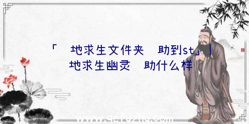 「绝地求生文件夹辅助到st」|绝地求生幽灵辅助什么样